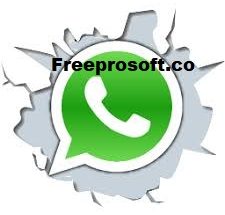 whatsapp crack